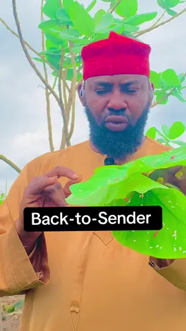 Back-to-Sender