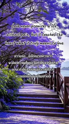 #viralvideo  ความรัก..อาจทำให้หัวใจเราเจ็บปวด แต่การที่เราได้รักใครสักคนอย่างแท้จริง ก็ยังคงเป็นสิ่งที่งดงามเสมอ... #TrueLove #Love #pain #beautiful 