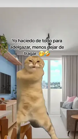 #Meme #MemeCut #CapCut 