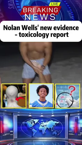 Nolan Wells' new evidence - toxicology report#nolanwells #bencrump#truecrime #thepascalshow #fyp