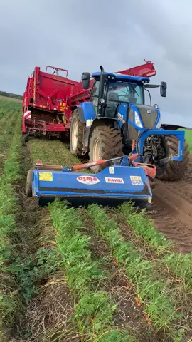 Arrachage de  #carotte 🥕 #agri #ferme #champ #campagne @GRIMME Group @ITT VIMO @OSMA SAS @Groupe DAVID 