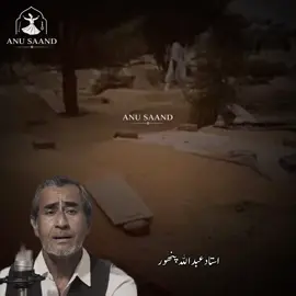 ھزاري ھليا ويا ڇڏي شان شاهي #foryou #foryoupage #viral #fyp #trending 