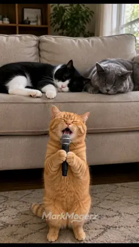 Two cats wanted a peaceful nap… but he had other plans 😹 #cat #funny 