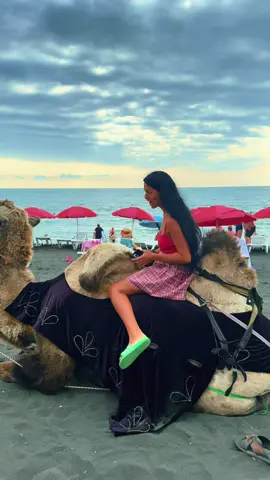 #ფორიუ 🐫😆