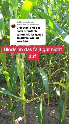 Antwort auf @isabell.schller 