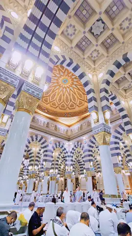 #foryou #محمد_رسول_الله #سبحان_الله_وبحمده_سبحان_الل 