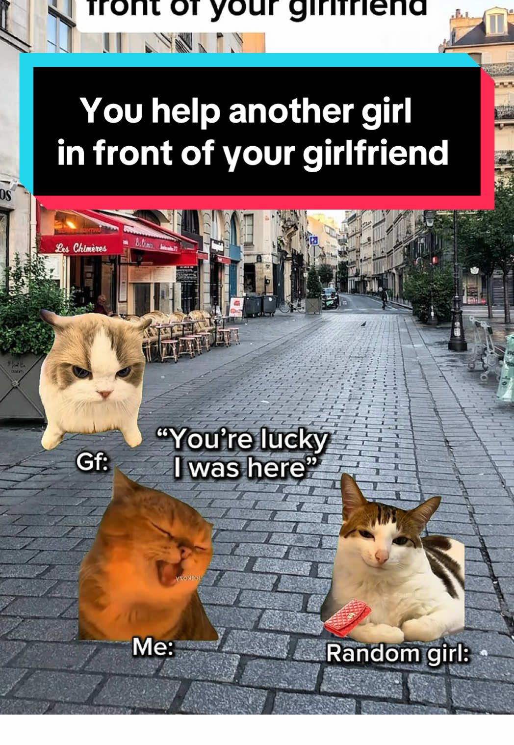 You help another girl in front of your girlfriend  #catmemes #relatable #cat #foryou #catsoftiktok 