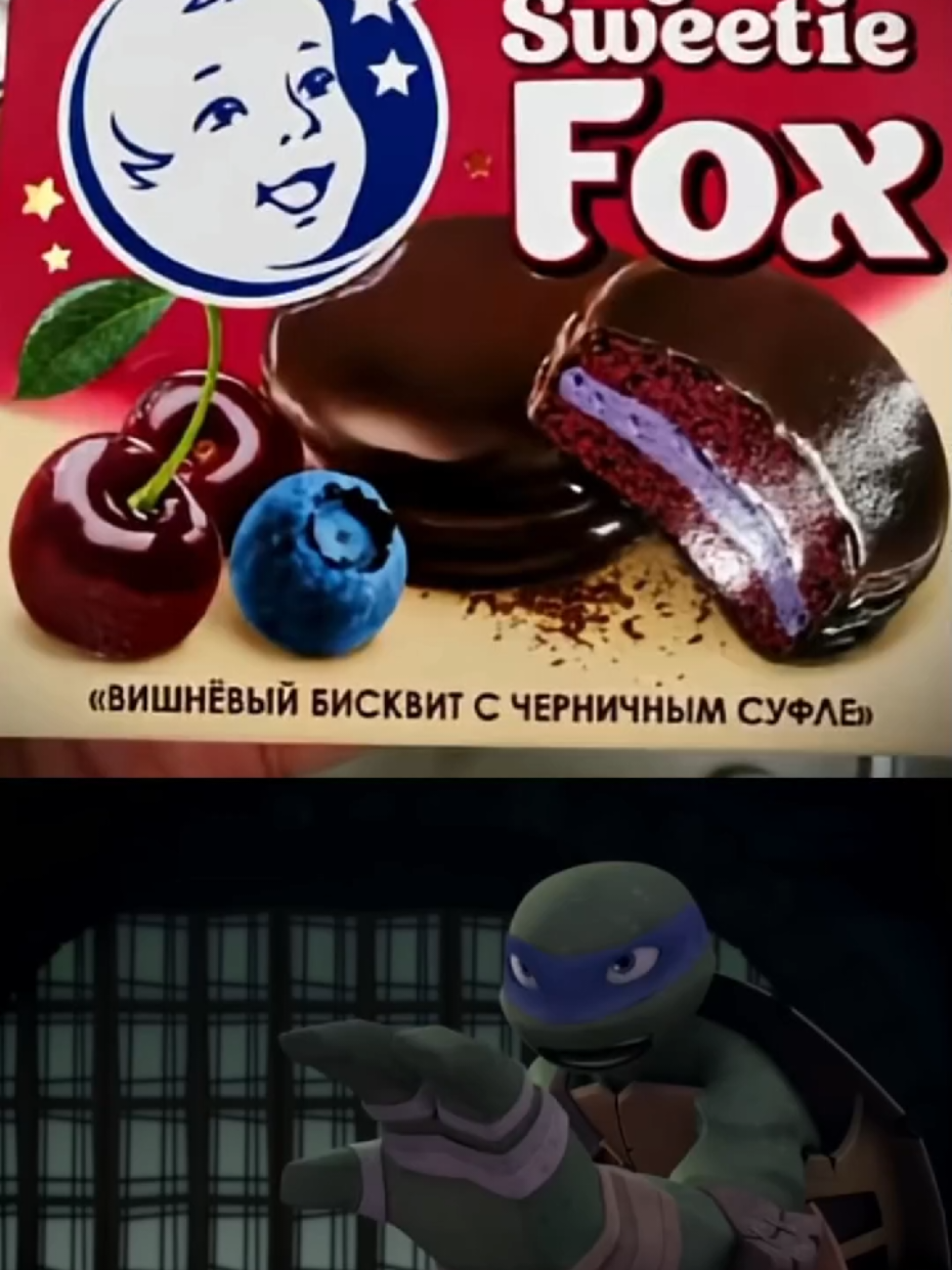 идея моя, верю в силу ночных рекомендаций #тмнт #черепашкининдзя #свитифокс #fyp #сплинтер 