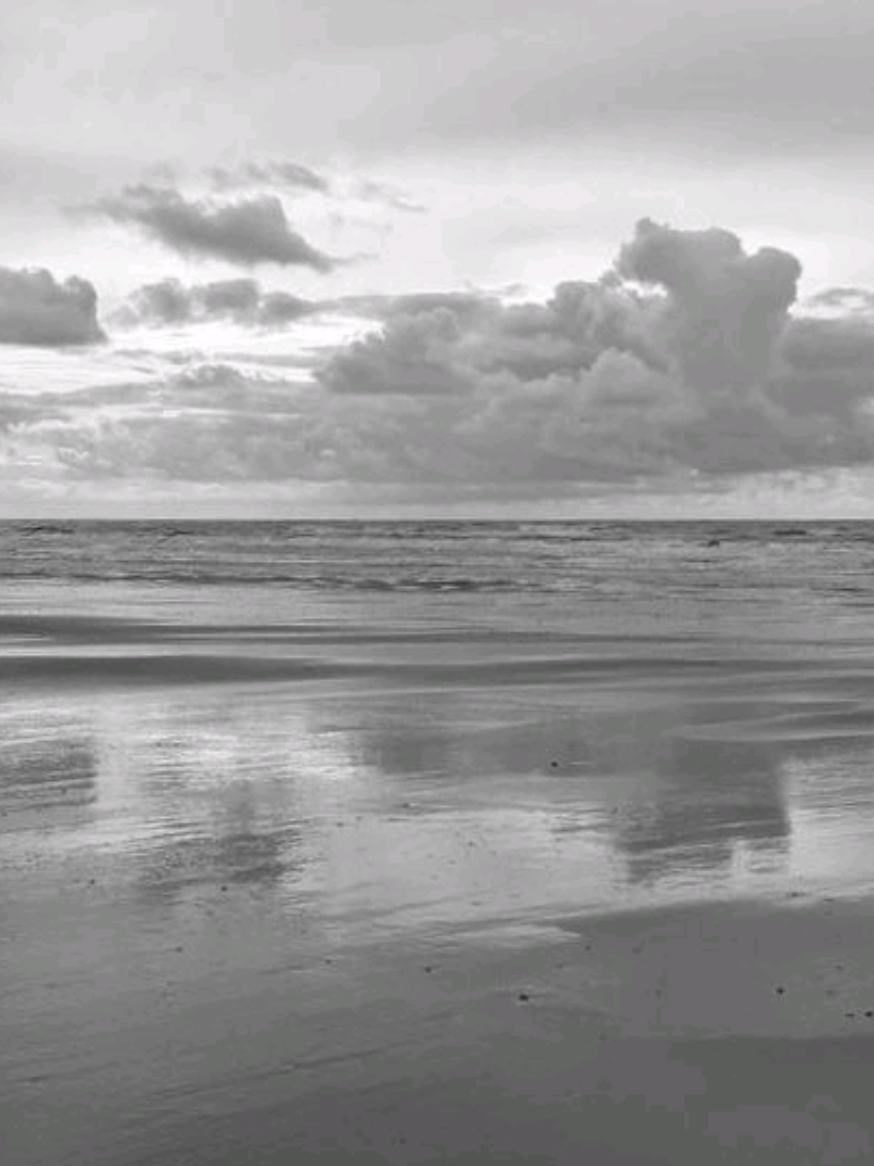 swan xd vid not mine #swan #swandive #imissyou #nature #aesthetic 