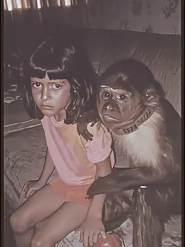 A Dora Aventureira da Vida Real #terror #creepypasta #misterio 