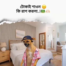 শাওন ভাই কি রাগ করলা.!? 🙂#foryou #vairal #fyp #tranding 