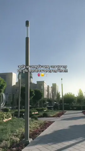 🫀🫠🕊️         #viral #viral_video_tiktok #foryou #foryoupage #foryoupageofficiall 