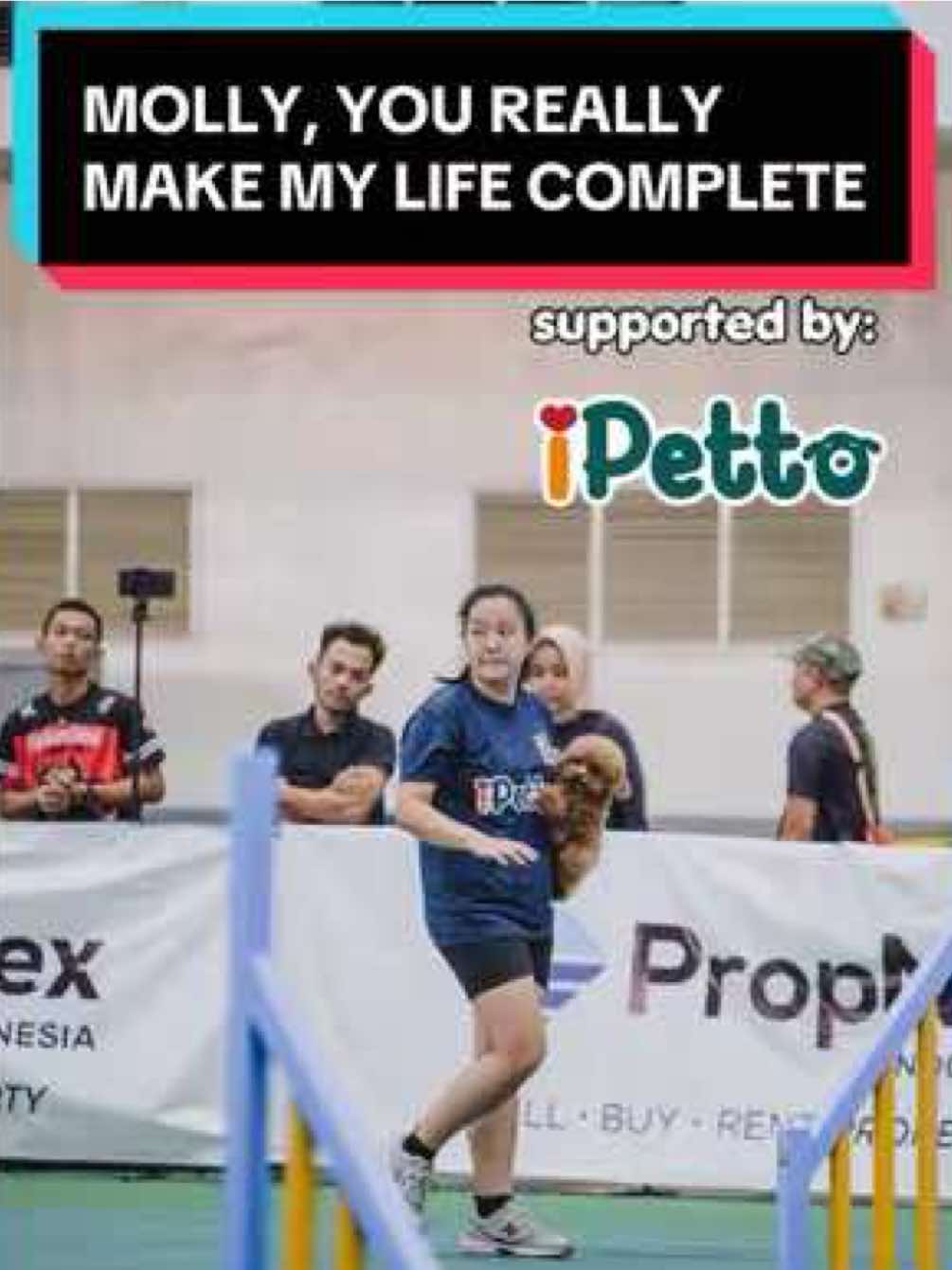 this was hoomom's favorite run with molly🥹🥰🏆 menutup game Grand Dog Show 2026 dengan gelar Indonesia Agility Champion dan berhasil menyelesaikan 2 race dengan predikat excellent dan excellent (0)🤯🔥 #mypoodlesgang #poodlesoftiktok #agilitydog 