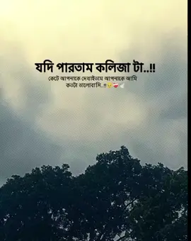 যদও পারতাম আপনাকে কলিজা টা কেটে আপনাকে দেখাইতাম আপনাকে আমি কটতা ভালোবাসি...!! 🥹❤️‍🩹🕊️#jdjdjdjdjdj #jdjdjdjdjdj #jdjdjdjdjdj #jdjdjdjdjdj #jdjdjdjdjdj 