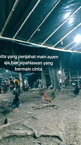 Penjahat🙌#philippines🇵🇭tiktok #ayamimportfilipin🇵🇭 