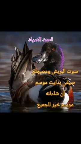 #تيك_توك #اصوات_الطيور #نغمات #شعب_الصيني_ماله_حل 