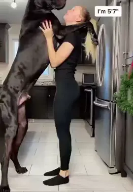 ##USA #k9girl #dogmom #dognotty #knottyk9  