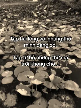 Tập hài lòng những gì mình đang có..!