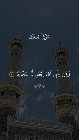 ومن يتوكل على الله فهو حسبه إن الله بالغُ أمره - سورة الطلاق - ماهر المعيقلي#القران_الكريم  #قران_كريم  #islamic_video  #quran  #ماهرالمعيقلي  