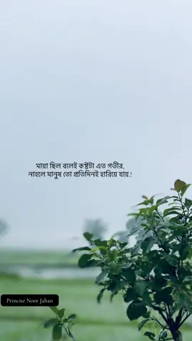 মায়া ছিল বলেই ক'ষ্টটা এত গভীর, নাহলে মানুষ তো প্রতিদিনই হারিয়ে যায়.!#fyp #bdtiktokofficial #unfrezzmyaccount #caption #1millionaudition @TikTok @TikTok Bangladesh 