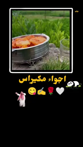 #ابن_الجنيدي #اشعب_اصيني_ماله_حل😂😂 #مالي_خلق_احط_هاشتاقات #البيضاء🚸ابين🚸مكيراس #اعادة_نشر🔁 