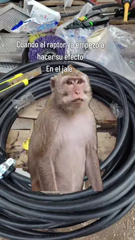 🫠🫠🫠  #Meme #MemeCut #viraltiktok 