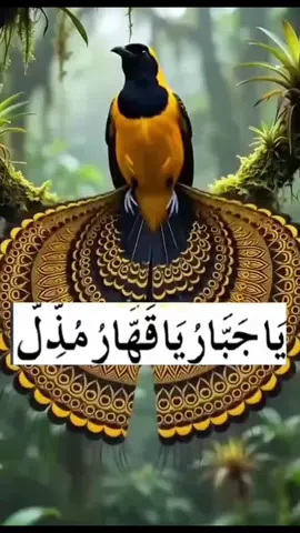 #islamic_video #wazifa #viral #Fypage 