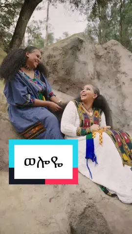 ወሎዬ ነኝ ካልሽኝ@Zebra studio @አስቱ ወሬኛዋ  ለማዘዝ 9-82-84-94-61