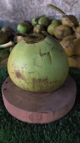 slicing coconut fresh 🥥🌴 #fyppp #coconutcutting #clausmeyer #coconutwater #tropicalfruit 