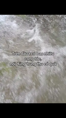 #htaxuhuong #fbtxuhuong 