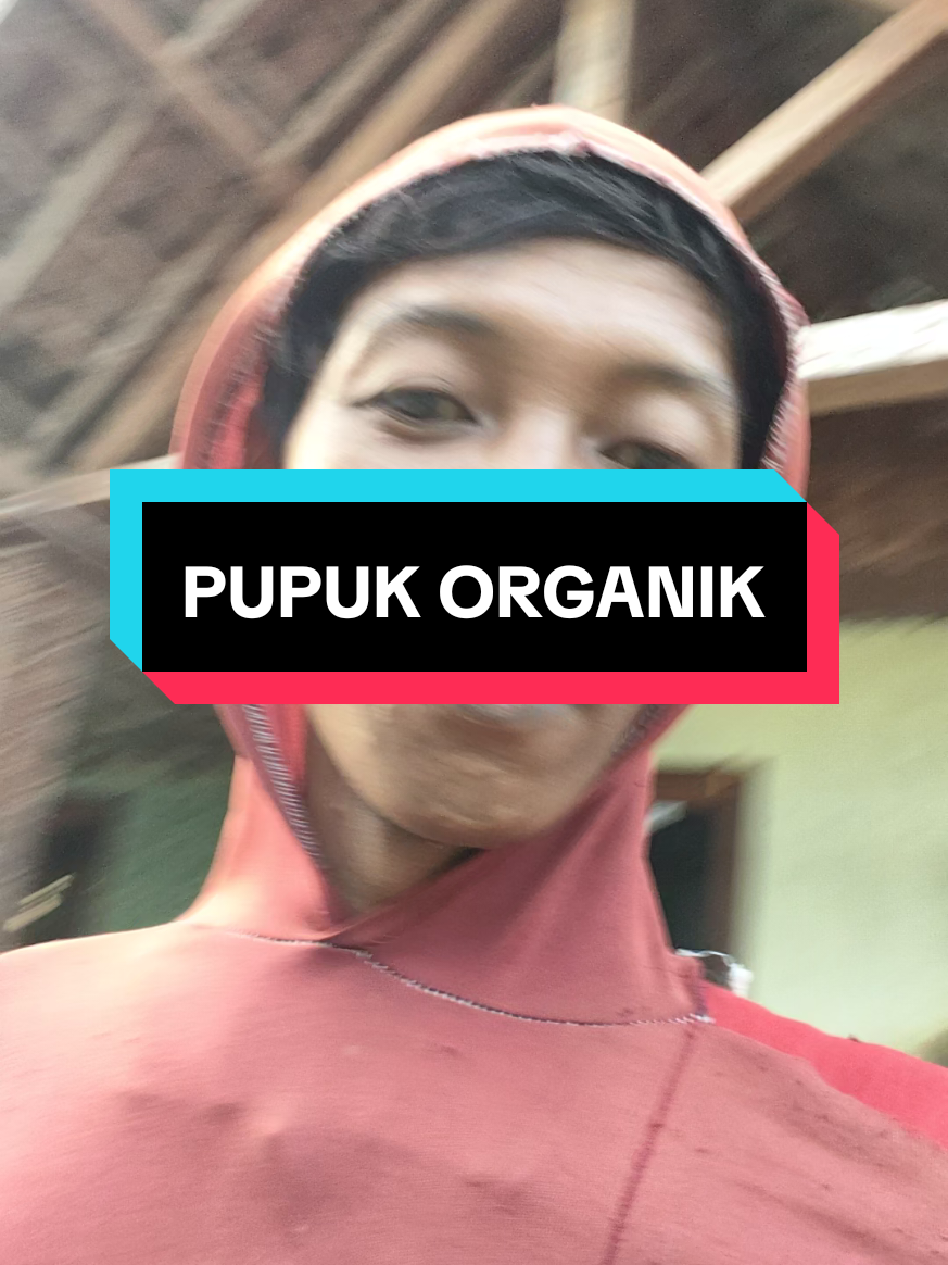 Pupuk pelebat bunga dan buah organik 🥰 #petanimuda #sanesa #pupukorganik #pupuk #fy 
