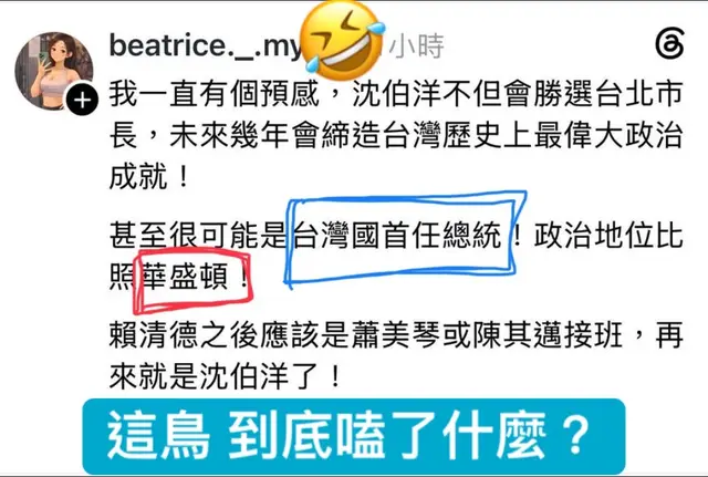 #民進黨 #青鳥 