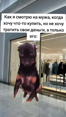 #Meme #MemeCut #CapCut #memestiktok #😂😂😂 
