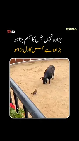 یہ منظر دیکھ کر دل کو عجیب سا سکون ملتا ہے۔ طاقت کا اصل مطلب کسی کو نقصان پہنچانا نہیں بلکہ تحفظ دینا ہوتا ہے۔ ❤️✨ احساس اور ظرف ہو تو بڑے سے بڑا بھی عاجز ہو جاتا ہے! اس معصوم سی دوستی کے بارے میں آپ کا کیا خیال ہے؟ 🥺👇 خلوص اور محبت کے سامنے ہر ڈر ختم ہو جاتا ہے۔ دنیا کو ایسے ہی کھلے اور بڑے دل والے لوگوں کی ضرورت ہے۔ ❤️ #jawrite #foryoupage❤️❤️ #grow____my____account۔🥰🥰 #fypシ゚viral🖤tiktok #viral 