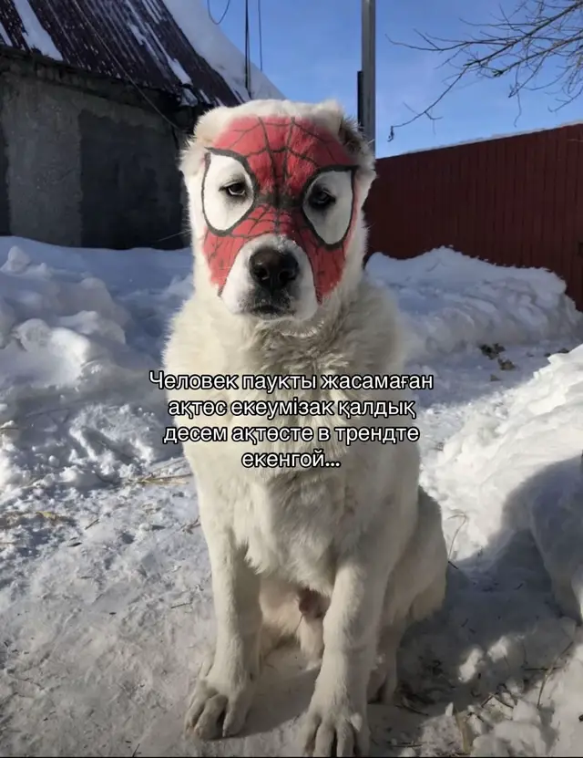 Өтті🤣🤣🤣.фото менкімес #fyp #rge #elbruso 