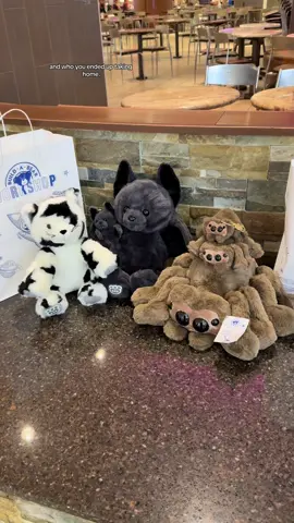 Let’s secure my build a bear Halloween babies 🕷️🦇🐈‍⬛🕸️🖤☺️ #buildabear #halloween #spookyseason #spider #bat 
