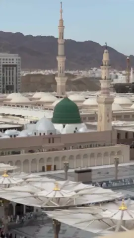 #استشهاد_الرسول_الاعظم_محمد🥺💔 #عظم_الله_اجورنا_واجوركم_بهذا_المصاب #يارسول_الله #يافاطمة_الزهراء #ياعلي_مولا_عَلَيہِ_السّلام 