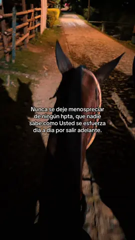 Viva y dejen vivir! #fyシ゚viral #motivation #agropecuario #caballos #rancheras  @corito_lyrics 