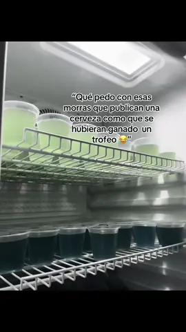 #parati #viralvideo #humortiktok #patodoelmundo #cerveza 