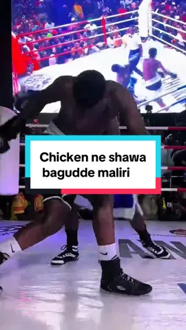 Chicken chicken vs shawa boxing match ends as a draw #gossip #trending #boxing🥊 #alertshub #ugandanstiktok 