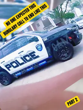Part 2 #cops #police #viral #nintendo #bodycamcops 