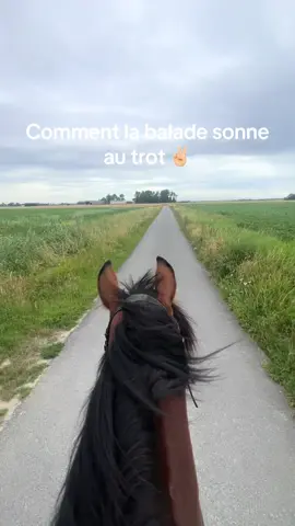 #trend #pourtoi #balade #course 