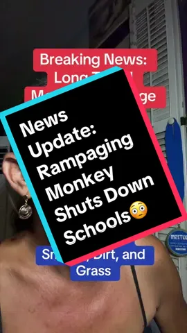 Breaking News: Lomg Tailed Monkey Rampage shuts down schools in town in Indonesia. I was meaning to make a news post but this took me out. In this video I talk about my experience as a teacher with students who chose not to touch grass. #breakingnews #newsupdate #monkey #school #indonesia 