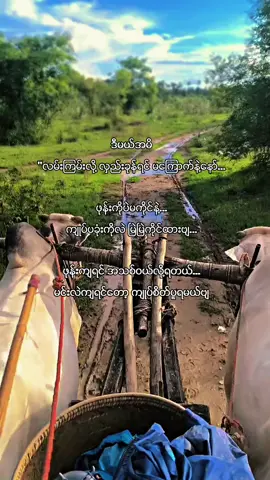 #fyppppppppppppppppppppppp #အညာသားလေး #fypシ #fyp #မြင်းလှည်းလေးနဲ့မောင်လာခေါ် 