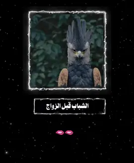 انتبهوووو حد ينكر  .  .  .  #تصميم_فيديوهات🎶🎤🎬 #مالي_خلق_احط_هاشتاقات🦦 #اكسبلورexplore #parati 