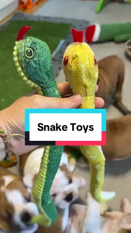 Shark approved snake toys! #puppytoys #cattoy #cattoys #catniptoy #dogtoy 