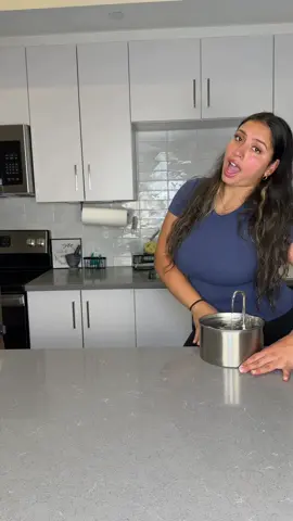 every cat parent’s dream #catsoftiktok #catfountain 