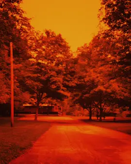 I ran and it still chased me. My anxiety. #digicam #digitalcamera #real #oldcamera 