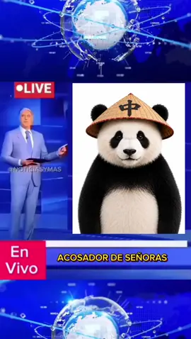 jsjs yo #chino #panda #viral #meme #fypシ 