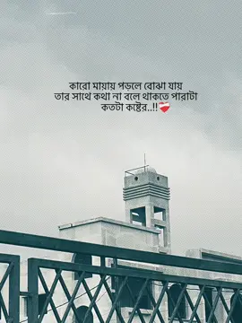 কারো মায়ায় পড়লে বোঝা যায় তার সাথে কথা না বলে থাকতে পারাটা কতটা কষ্টের..!!❤️‍🩹 #fypppppppppppppppppppppp #fyp #foryou #viralvideo #capcut 
